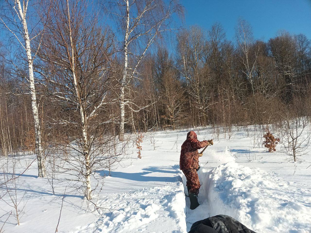 Бенедиктыч в лесу ОФМЕ отдых на природе